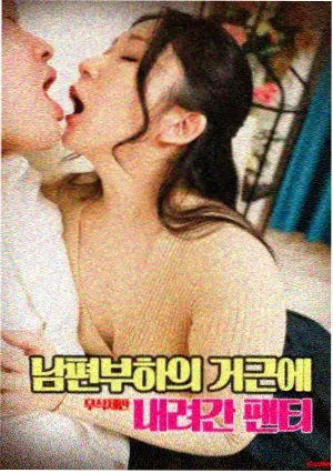 深山回声纪录片封面